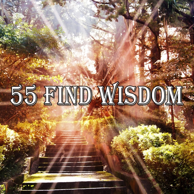 55 Find Wisdom