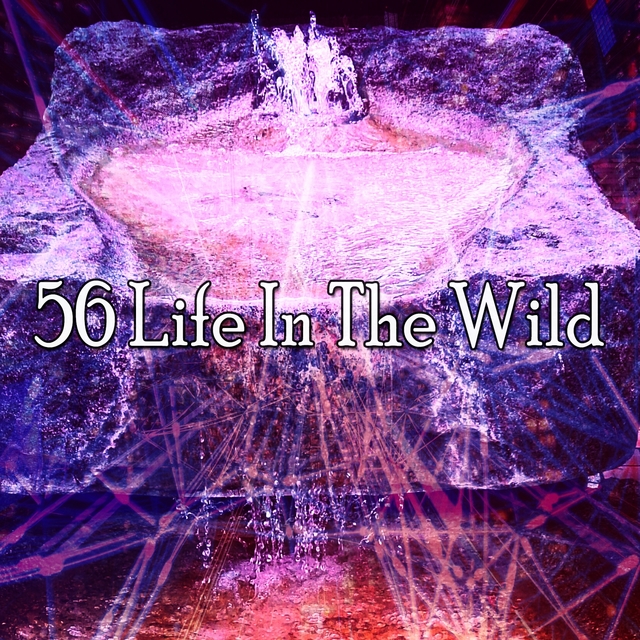 56 Life in the Wild