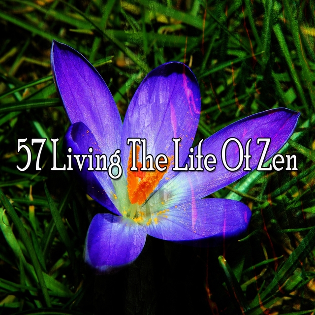 57 Living the Life of Zen