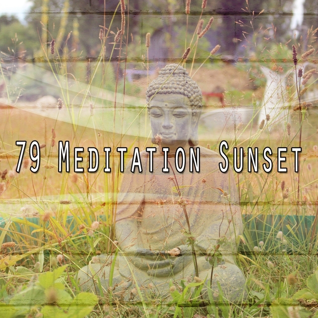 79 Meditation Sunset