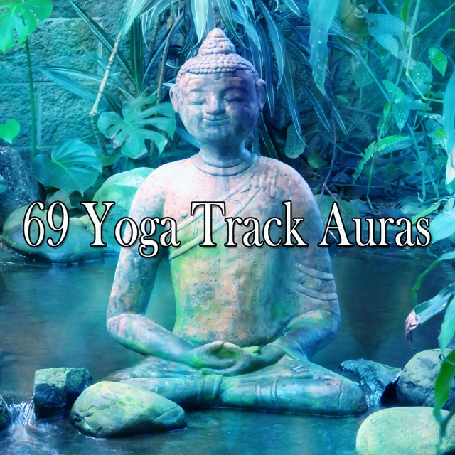 69 Yoga Track Auras