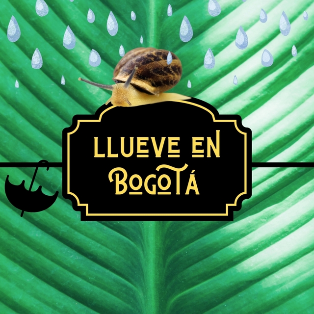 LLUEVE EN BOGOTA'