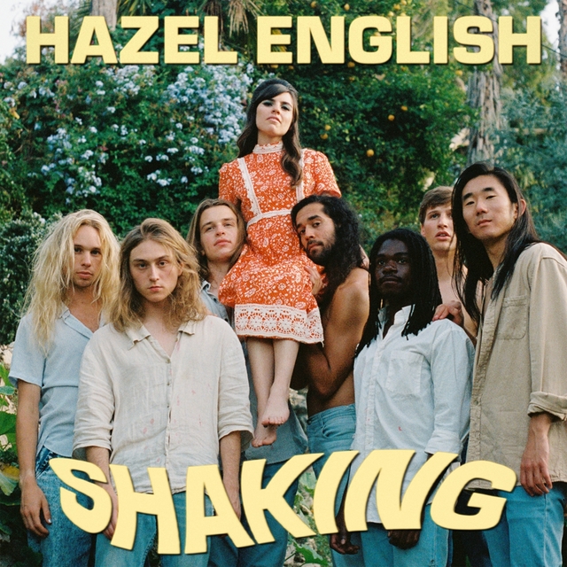 Couverture de Shaking