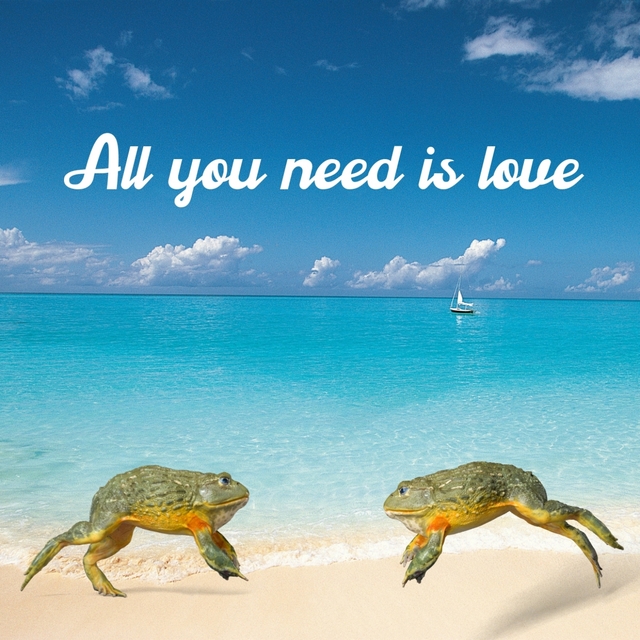 Couverture de ALL YOU NEED IS LOVE