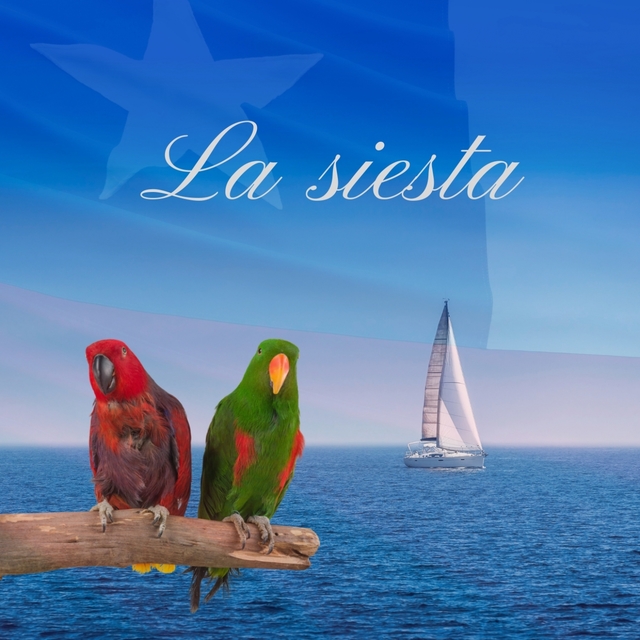 Couverture de LA SIESTA