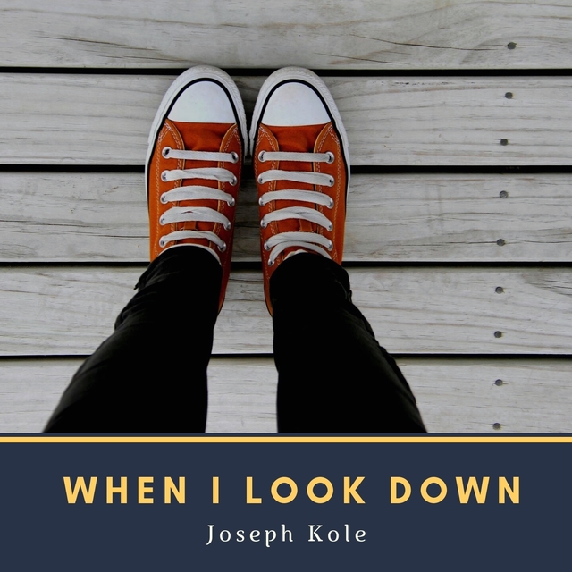 Couverture de When I Look Down