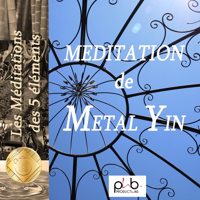 Couverture de Les méditations des 5 éléments : le bijou métal yin gyxoyzzy