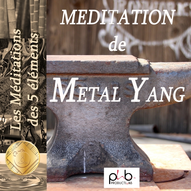 Couverture de Les méditations des 5 éléments : le fer métal yang ankzyk