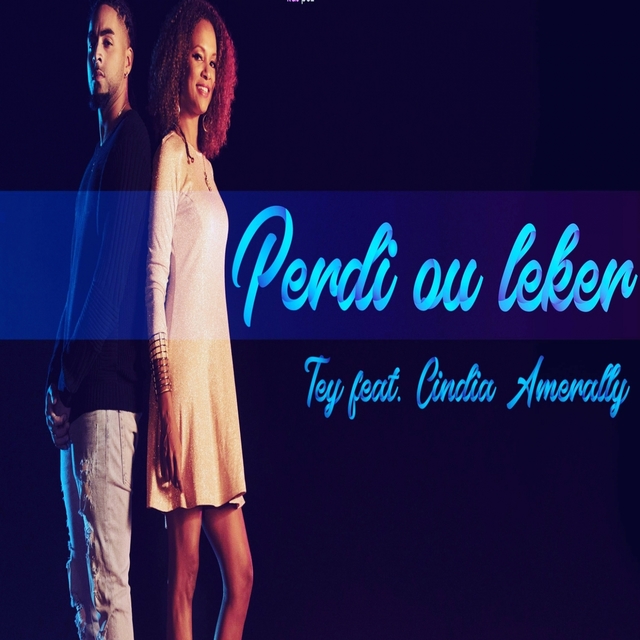 Couverture de Perdi ou leker