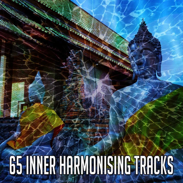 Couverture de 65 Inner Harmonising Tracks