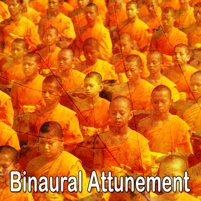 Couverture de Binaural Attunement