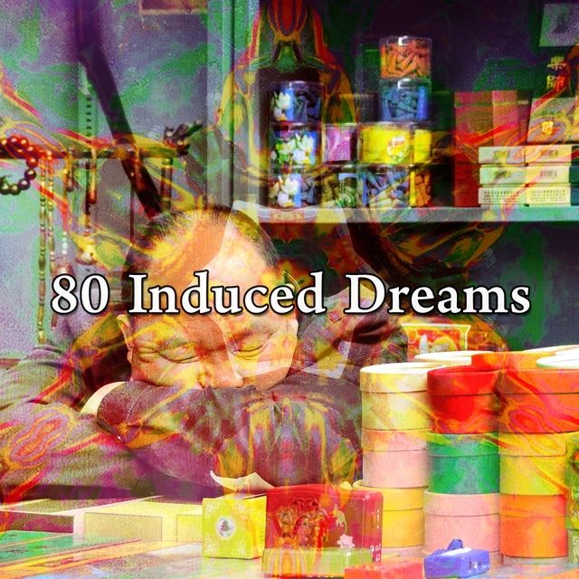 Couverture de 80 Induced Dreams