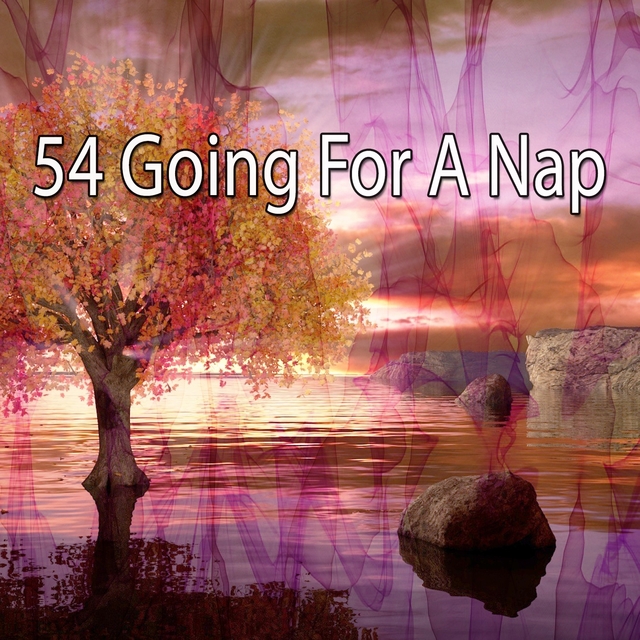 54 Going For a Nap