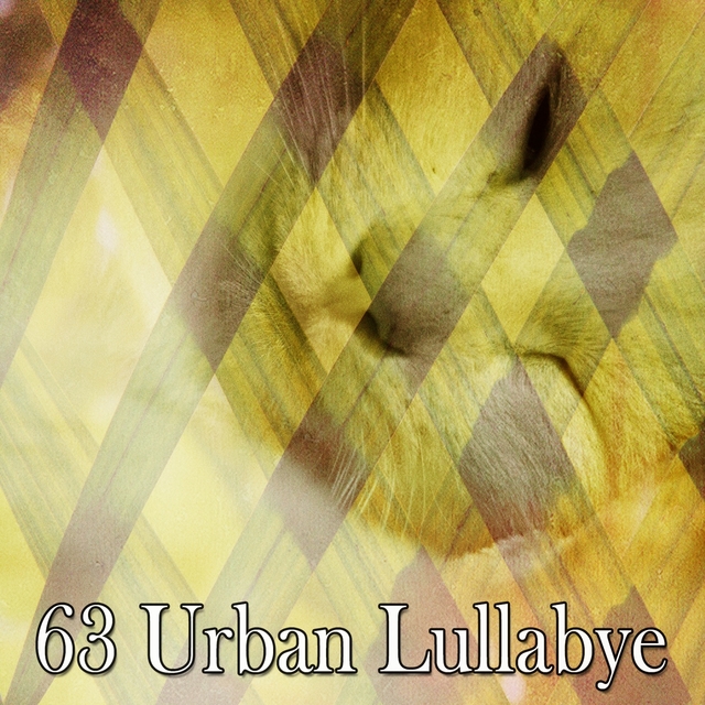 63 Urban Lullabye