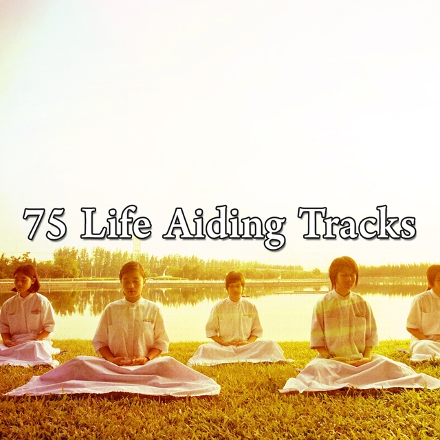 Couverture de 75 Life Aiding Tracks