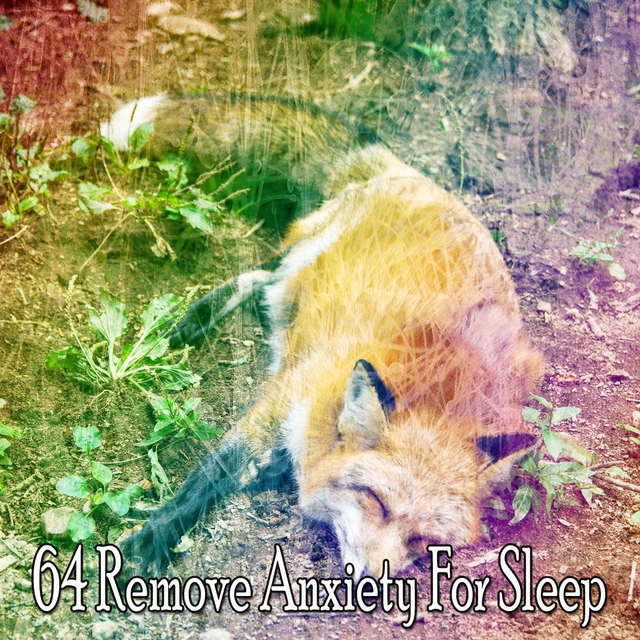 64 Remove Anxiety for Sleep