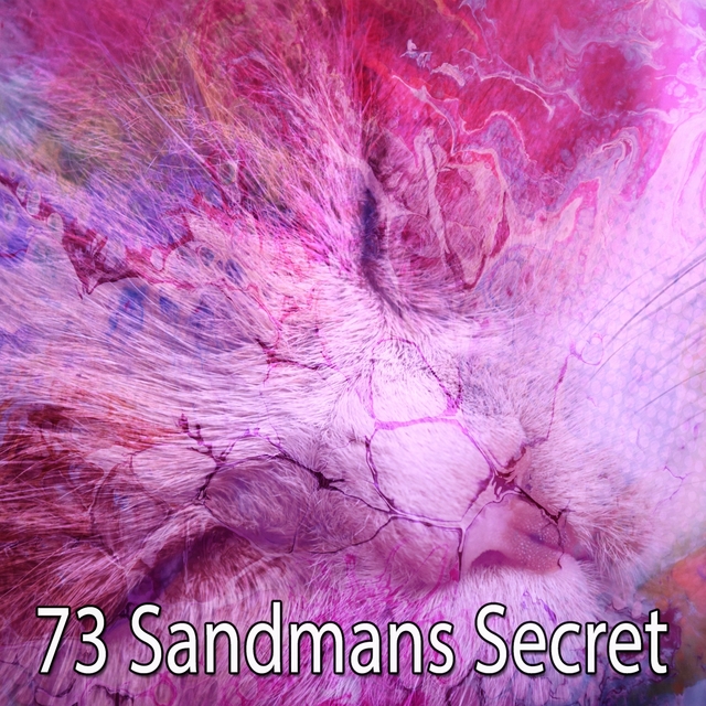 73 Sandmans Secret