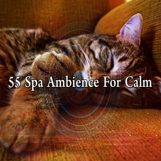 55 Spa Ambience for Calm