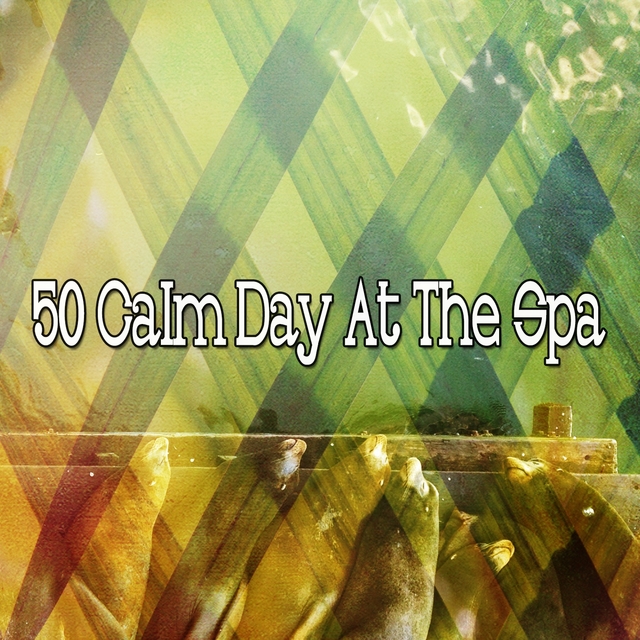 50 Calm Day at the Spa