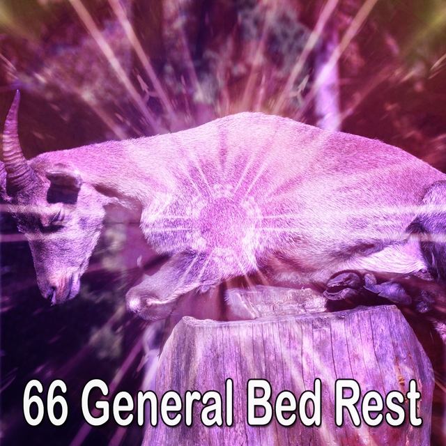 66 General Bed Rest