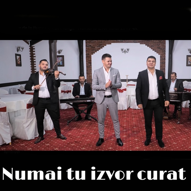 Couverture de Numai Tu Izvor Curat