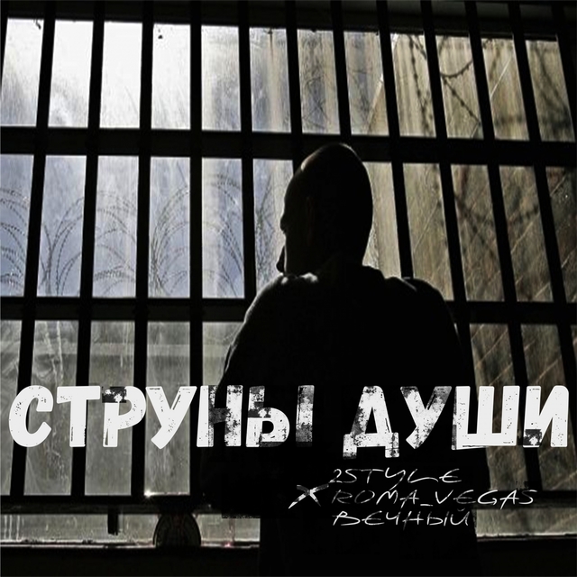 Couverture de Струны души