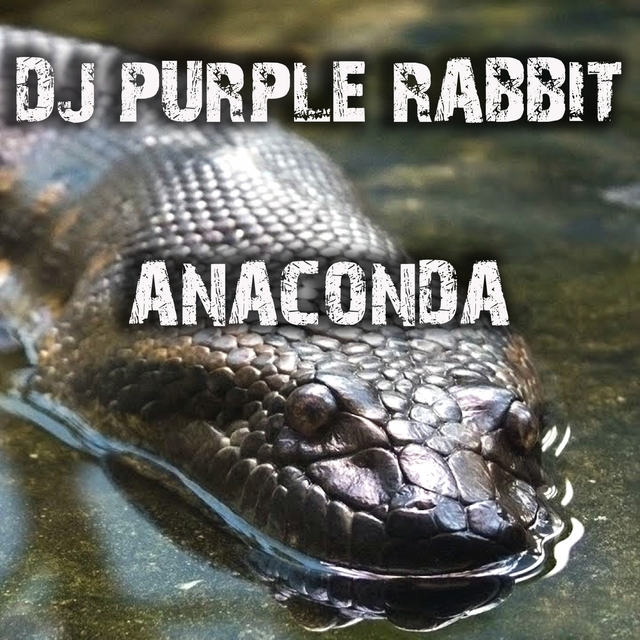 Anaconda