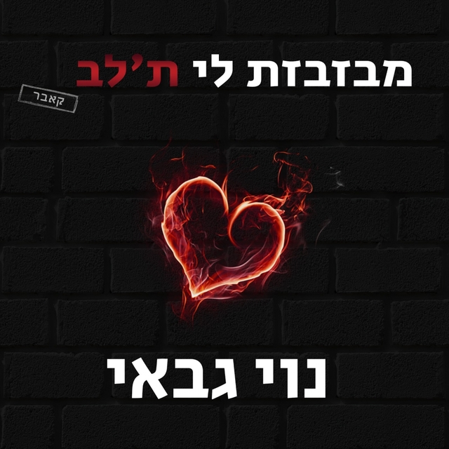 Couverture de מבזבזת לי ת'לב