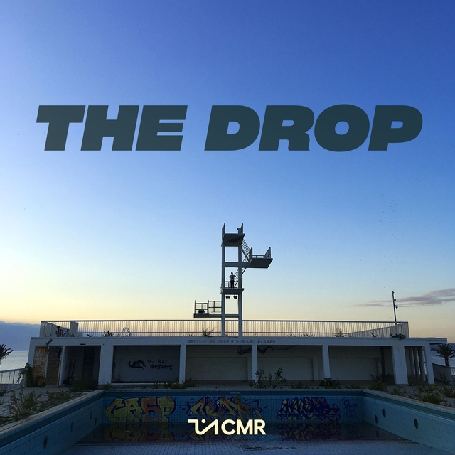 Couverture de The Drop