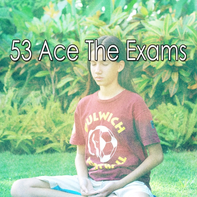 53 Ace the Exams