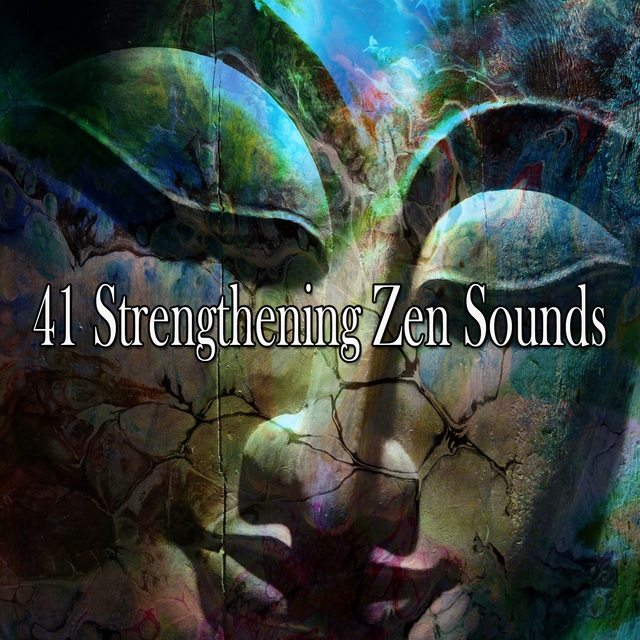 Couverture de 41 Strengthening Zen Sounds