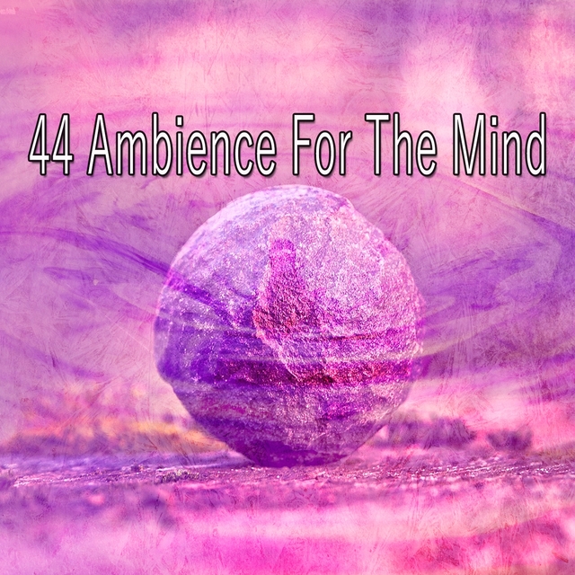 Couverture de 44 Ambience for the Mind