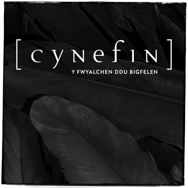 Couverture de Y Fwyalchen Ddu Bigfelen