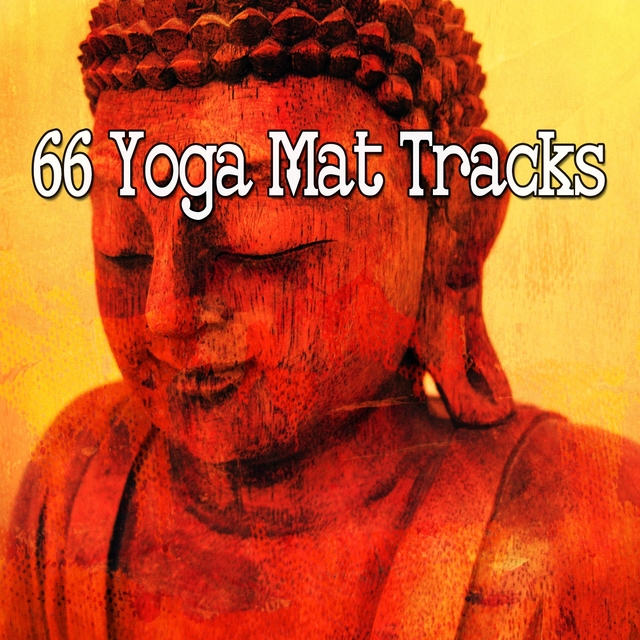 66 Yoga Mat Tracks