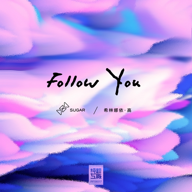 Couverture de Follow You