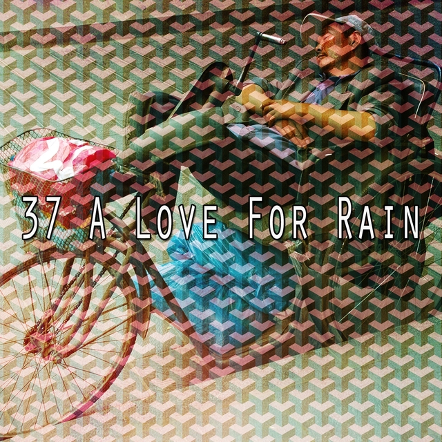 37 A Love for Rain