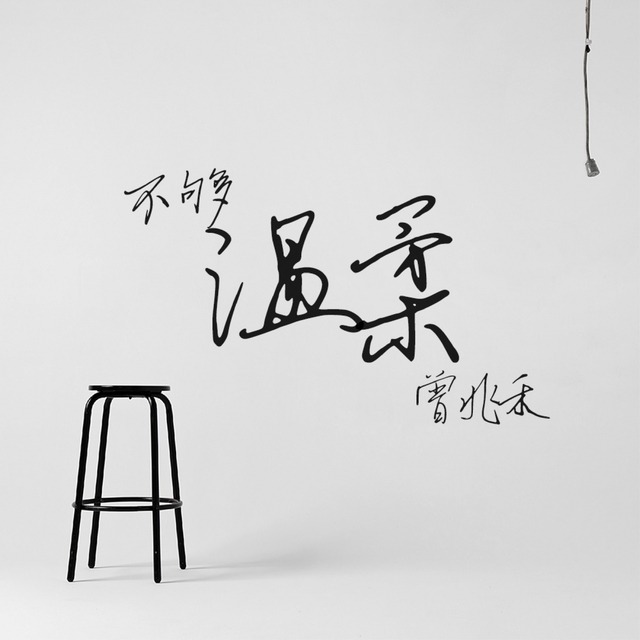 Couverture de 不夠溫柔