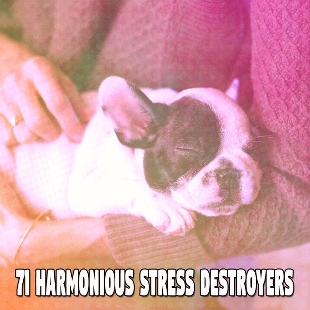 71 Harmonious Stress Destroyers