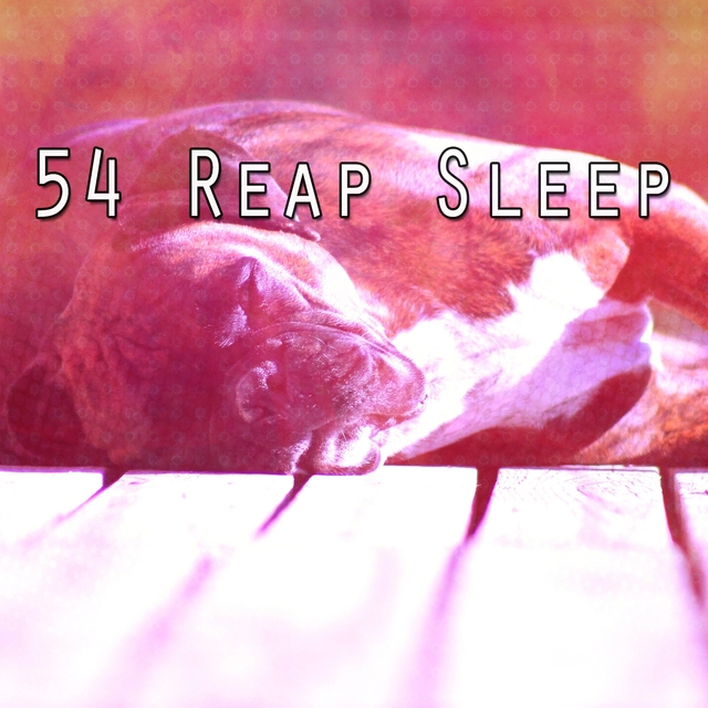 54 Reap Sleep