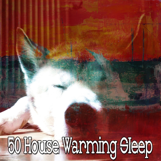 50 House Warming Sleep