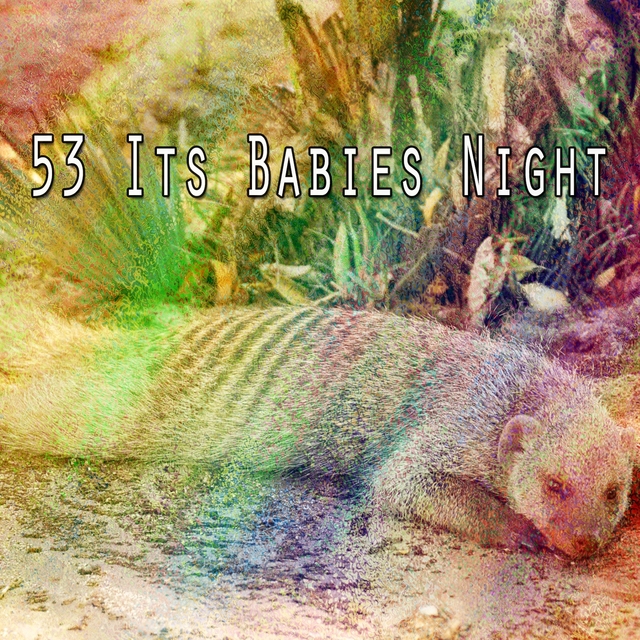 53 Its Babies Night