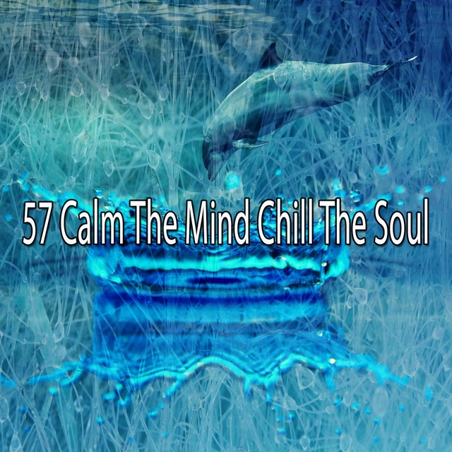 57 Calm the Mind Chill the Soul