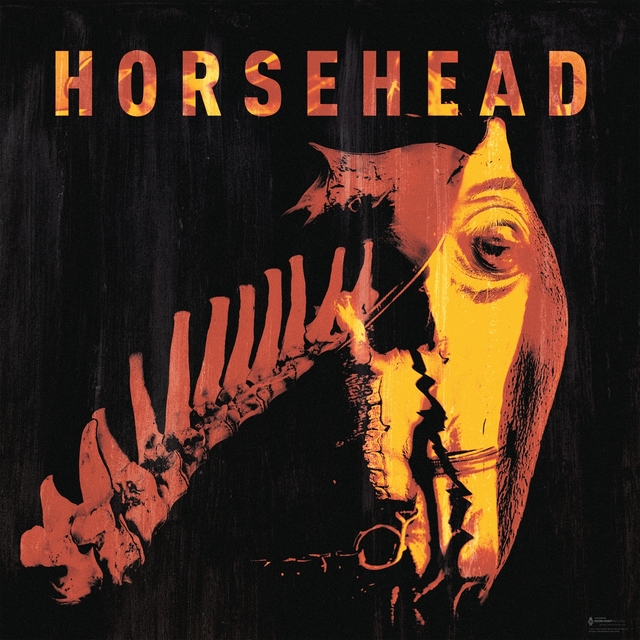 Couverture de Horsehead