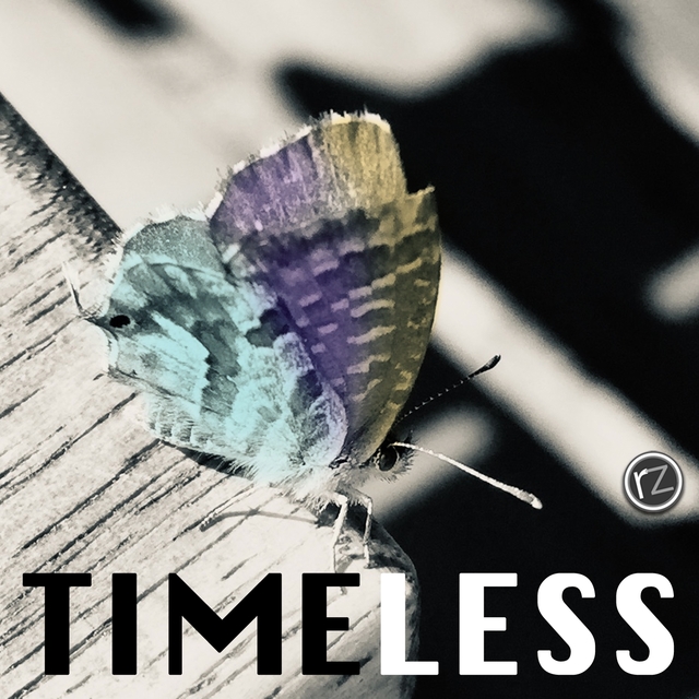 Couverture de Timeless