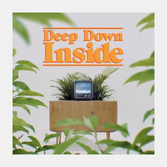 Couverture de Deep Down Inside