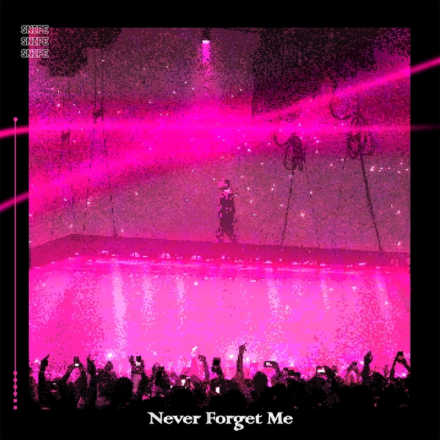 Couverture de Never Forget Me