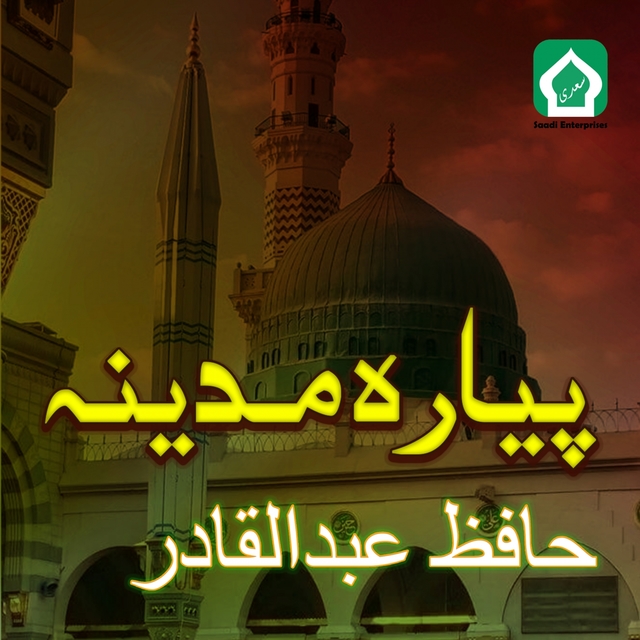 Couverture de Payara Madina