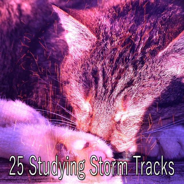 25 Studying Storm Tracks