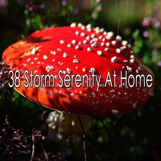 38 Storm Serenity at Home
