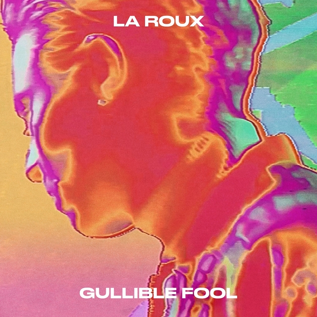 Couverture de Gullible Fool